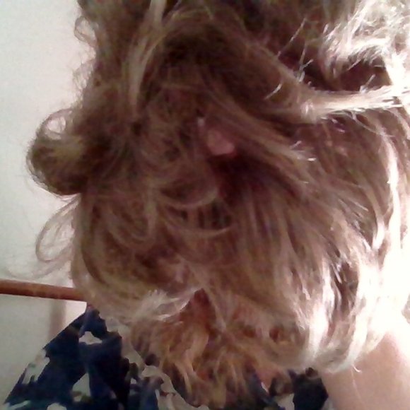 Paula Young Wig - Picture 3 of 8